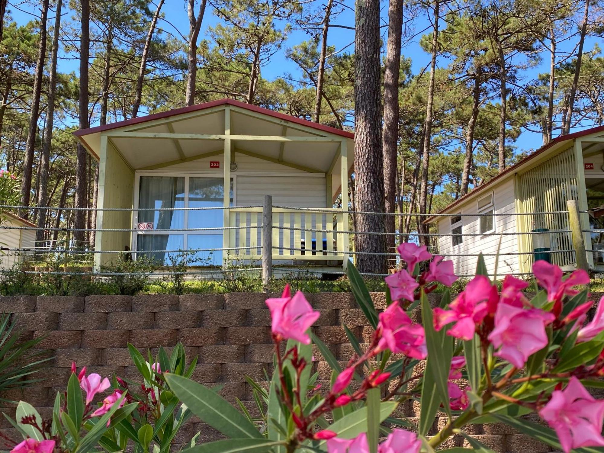 Parque De Campismo Orbitur Valado Hotel Nazaré Exterior foto